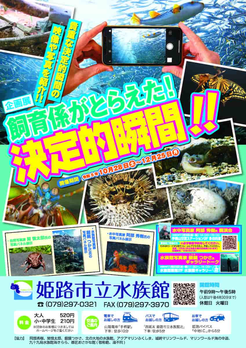 姫路市立水族館　企画展「飼育係がとらえた！決定的瞬間！」 [画像]