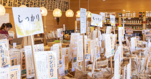 灘区にある創業明治22年『笑顔の米屋 いづよね』でおいしいお米を選んでもらいました　神戸市