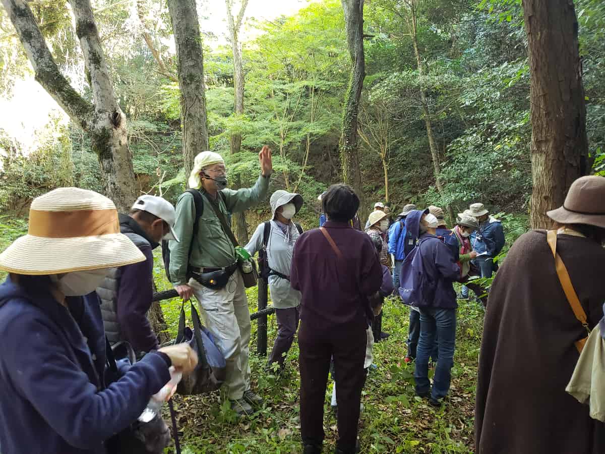 キノコ・苔の専門家と一緒に森を巡ります