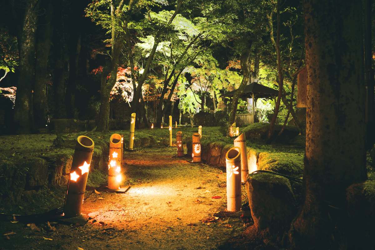 竹で作られた竹灯籠のあたたかな光は景色にアクセントを加える