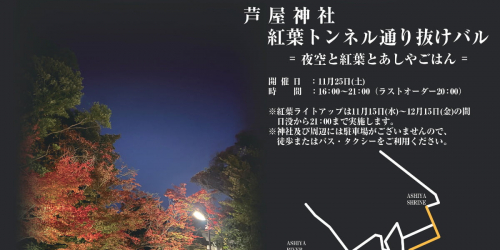 芦屋神社で「2023 ASHIYA LIGHT UP NIGHT」「紅葉トンネル通り抜けバル」開催　芦屋市