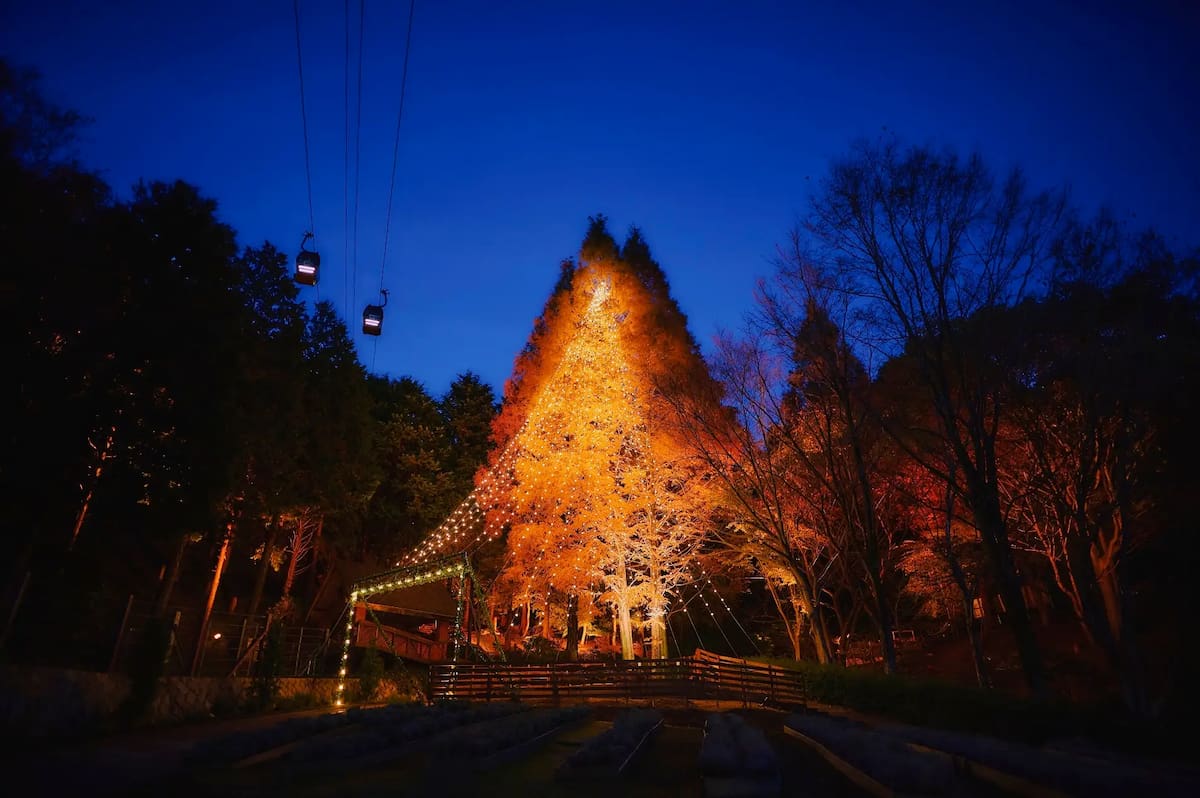 神戸布引ハーブ園／ロープウェイ「神戸クリスマスマーケット2023」 [画像]