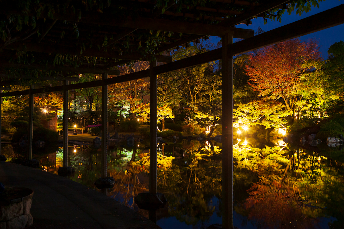 しあわせの村日本庭園で「紅葉のライトアップ」開催　神戸市 [画像]