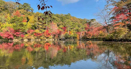 神戸市立森林植物園で「森林もみじ散策」開催