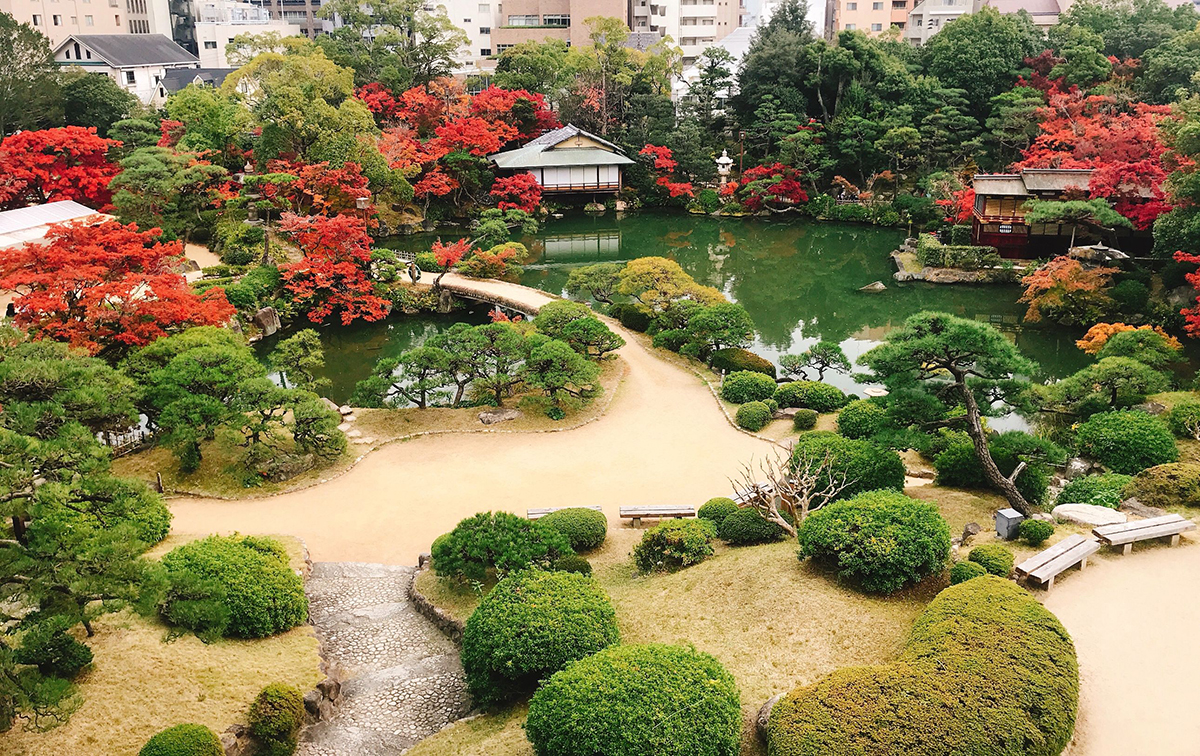 昨年11月の庭園の様子