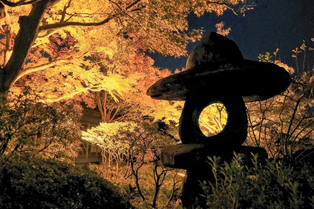 神戸市立須磨離宮公園で「Suma Rikyu ルミエール～紅葉と噴水のファンタジー～」開催 [画像]