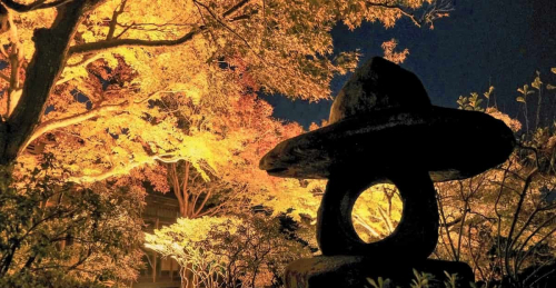 神戸市立須磨離宮公園で「Suma Rikyu ルミエール～紅葉と噴水のファンタジー～」開催