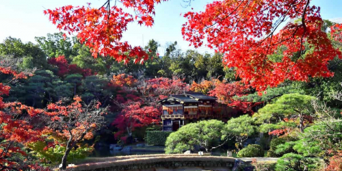 神戸市立相楽園で「秋のイベント」開催