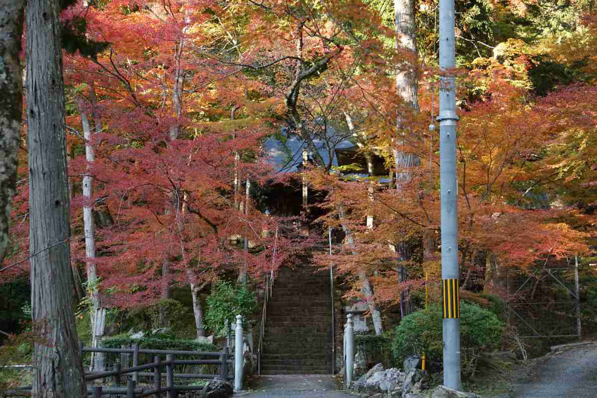 丹波篠山で「もみじ三山めぐり」開催 [画像]