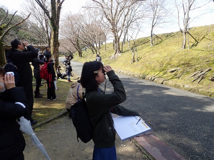 「姫路城の野鳥調査にチャレンジ！」参加者募集　姫路市 [画像]