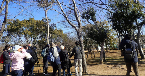 「姫路城の野鳥調査にチャレンジ！」参加者募集　姫路市