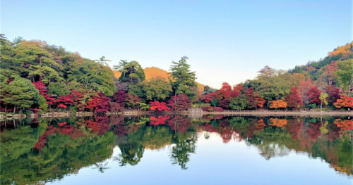 六甲山『再度（ふたたび）公園』の紅葉が11月中旬頃から見ごろに　神戸市