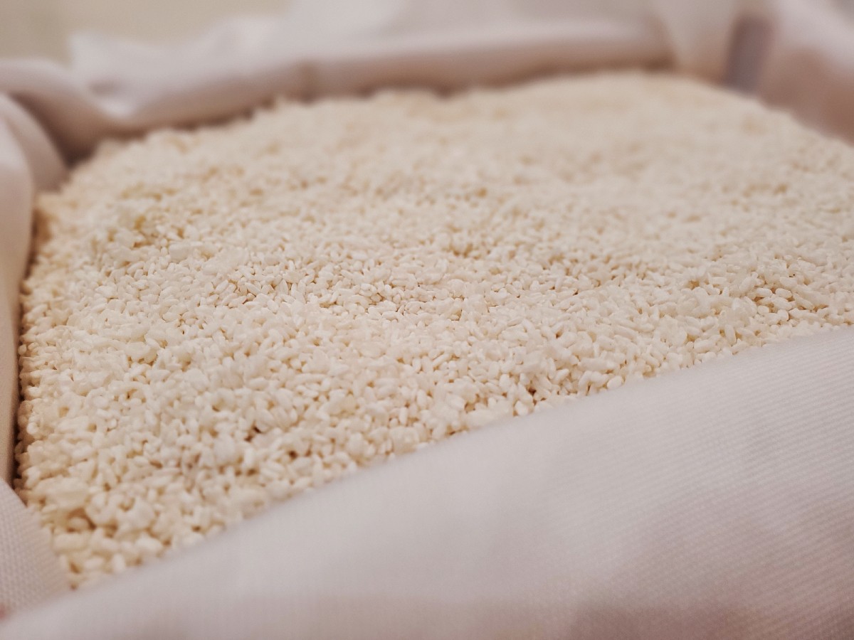 &rdquo;完成した麹&rdquo;。蒸した米を冷まし、菌をまぶしてから発酵室で発酵。その後乾燥させたもの