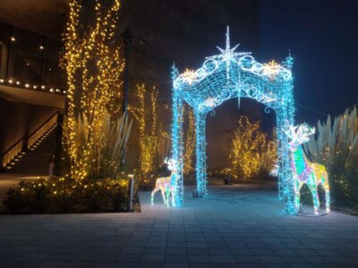 AQUARIUM×ART átoa（アトア）が「クリスマス特別営業」を実施　神戸市 [画像]