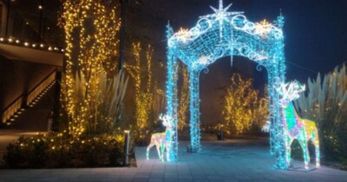 AQUARIUM×ART átoa（アトア）が「クリスマス特別営業」を実施　神戸市