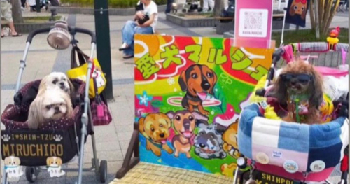「第10回 愛犬マルシェ オータムフードパラダイスin 神戸／名谷駅前広場」開催　神戸市