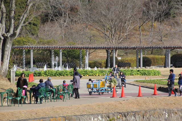 兵庫県立フラワーセンターでお正月の特別開園を実施　加西市 [画像]