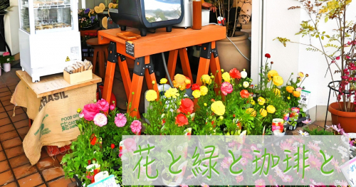 対中にある『アリスの園』で開催されたイベント「花と緑と珈琲と」に行ってきました　三田市