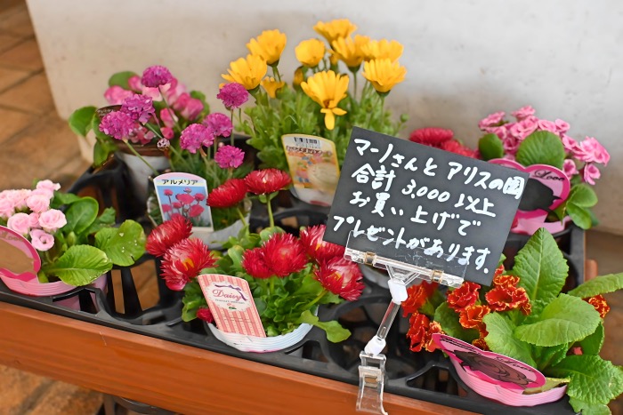 対中にある『アリスの園』で開催されたイベント「花と緑と珈琲と」に行ってきました　三田市 [画像]