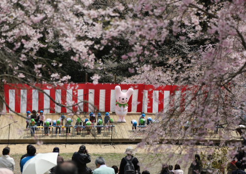 『桜華園 さくらまつり』　開催