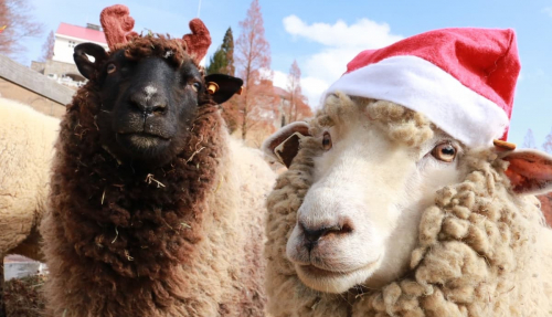 六甲山牧場で「クリスマスイベント」開催　神戸市