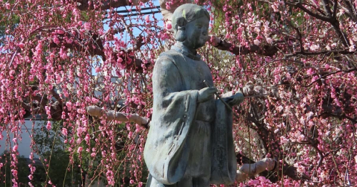 須磨の『綱敷天満宮』で「梅花祭」開催　神戸市