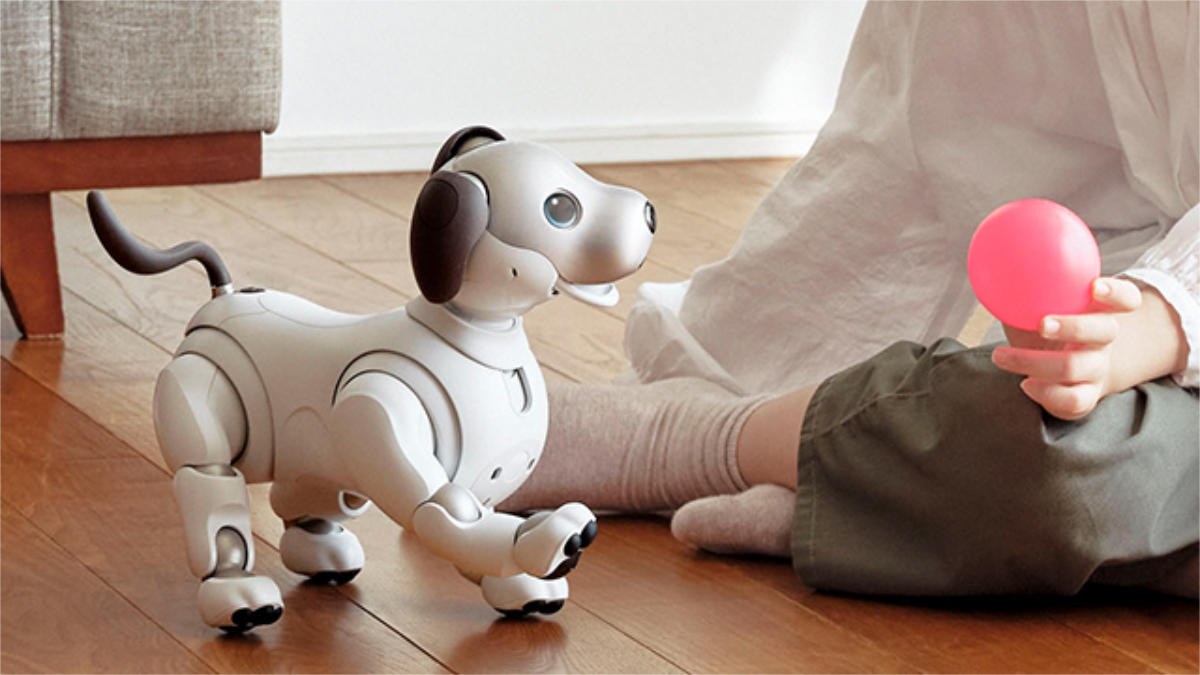 デュオドームとスペースシアターで「aibo（アイボ）ファンミーティング Vol.17」開催　神戸市 [画像]