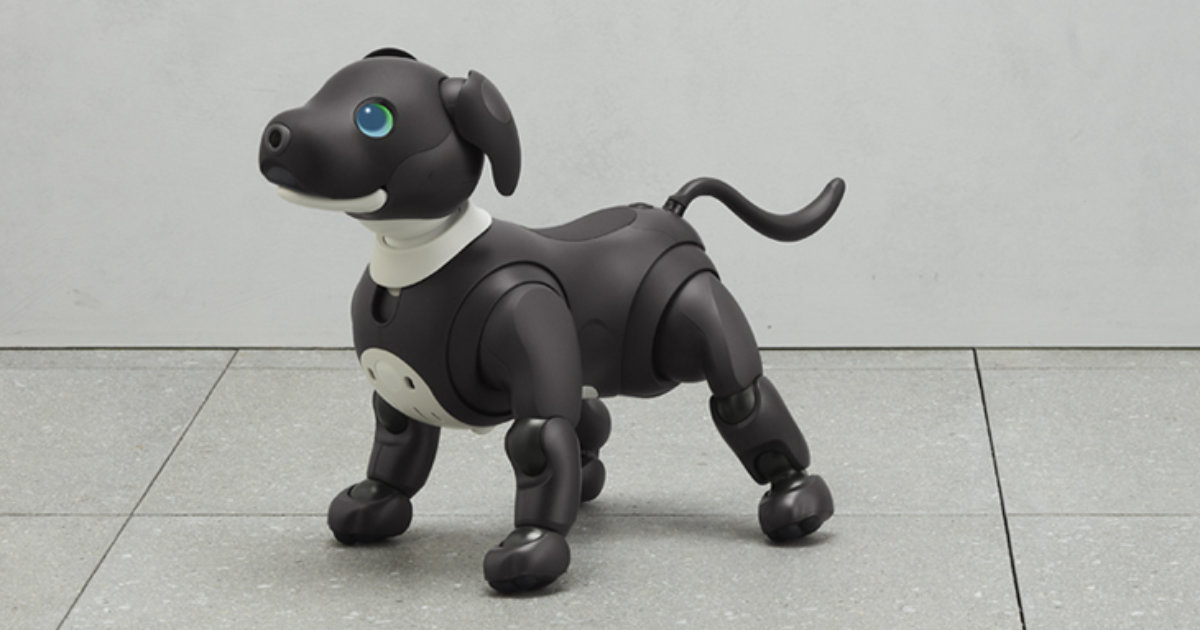 デュオドームとスペースシアターで「aibo（アイボ）ファンミーティング Vol.17」開催　神戸市 [画像]