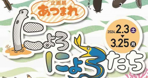 姫路市立水族館 企画展「あつまれ　にょろにょろたち」姫路市