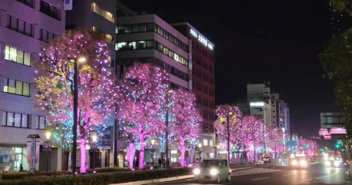 2月14日に「Himeji大手前通りイルミネーション」が特別カラーに　姫路市