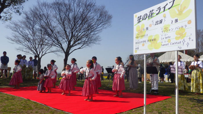 神戸総合運動公園で「菜の花まつり」開催　神戸市 [画像]