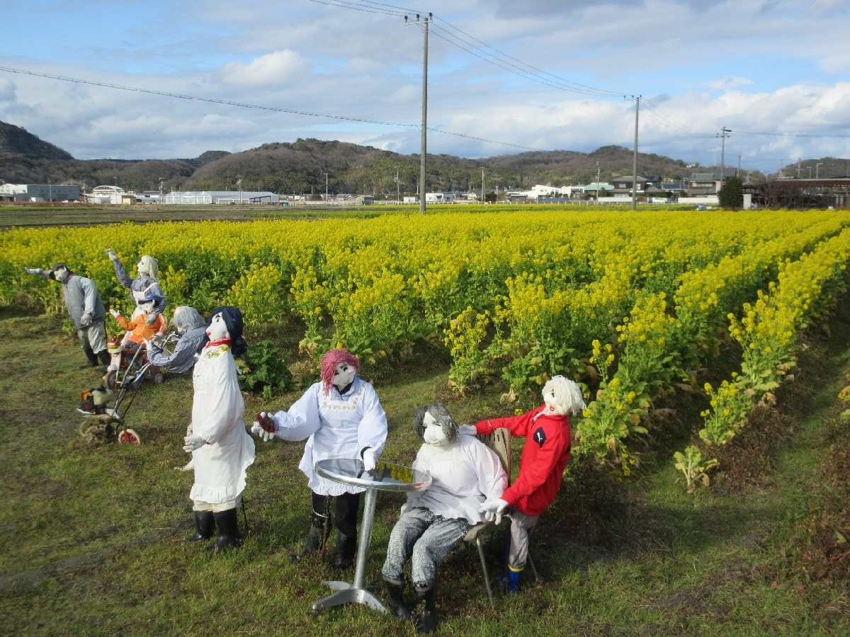 シュールな案山子達が勢ぞろい（笑）インスタ映えする楽しい写真が撮影できそうですね