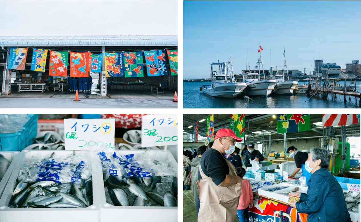 駒ヶ林魚市場・漁港横倉庫で「海と、魚と、」開催　神戸市 [画像]