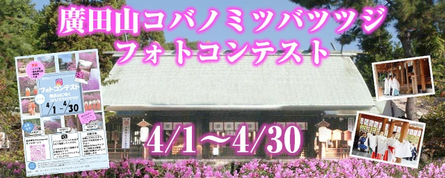 廣田神社『つつじまつり』4月7日開催　西宮市 [画像]