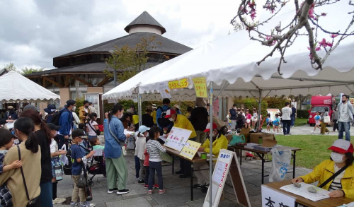 有馬富士公園で「ありまふじフェスティバル’24春」開催　三田市