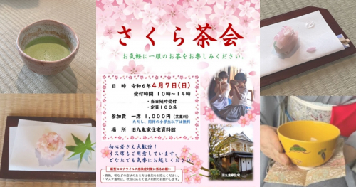 県重要文化財『旧九鬼家住宅資料館』で「さくら茶会」開催　三田市