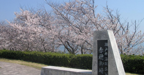 赤穂東御崎公園の「桜」が4月上旬より見ごろを迎えます　赤穂市
