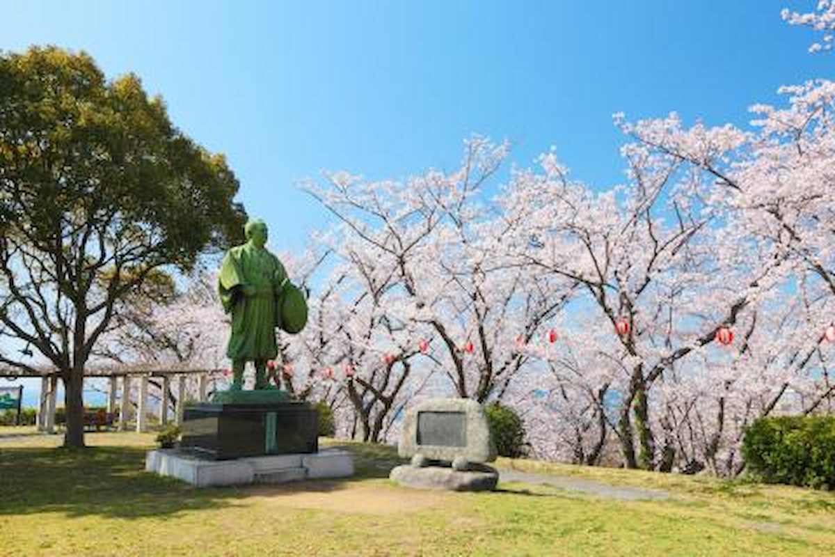 赤穂東御崎公園の「桜」が4月上旬より見ごろを迎えます　赤穂市 [画像]