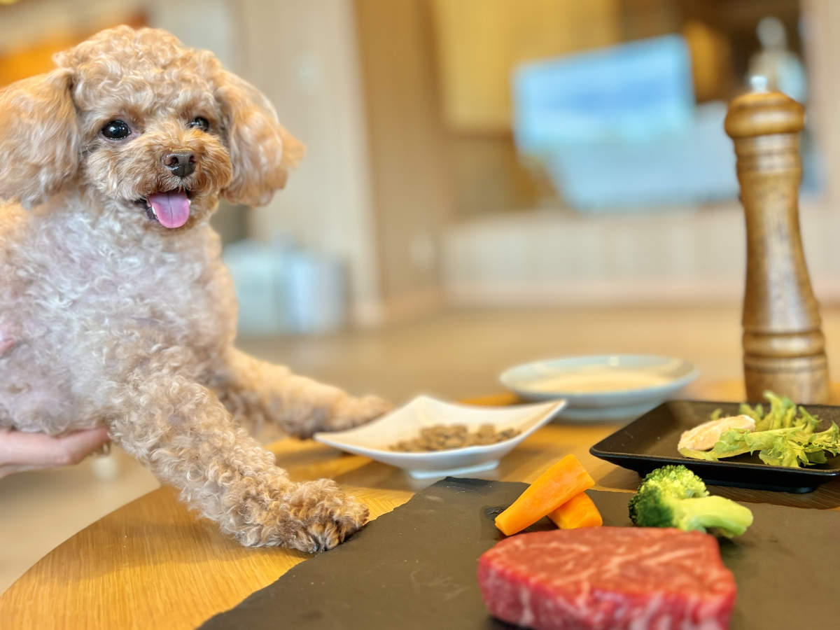 有馬グランドホテル『DOG UP VILLA（ドッグ アップ ヴィラ）』で「愛犬premiumディナー」の提供がスタート　神戸市 [画像]
