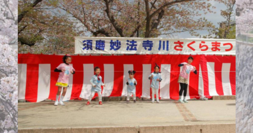 妙法寺川公園で「須磨妙法寺川さくらまつり」開催　神戸市
