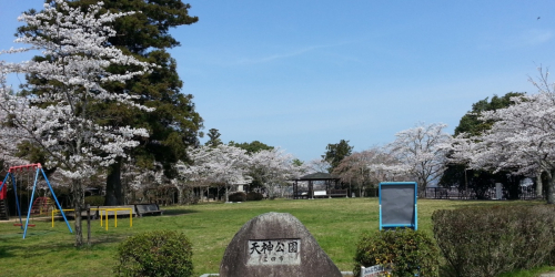 三田八景のひとつ『天神公園』でまもなく桜が咲き始めます　三田市