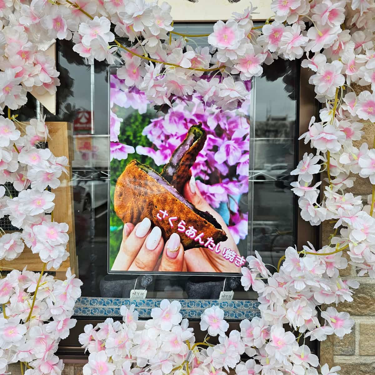 龍野町富永『やまや本舗 たつの店』が春の新作「さくらあんたい焼き」「さくらホイップ」を販売中　たつの市 [画像]