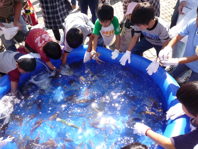 魚のつかみ取りの様子