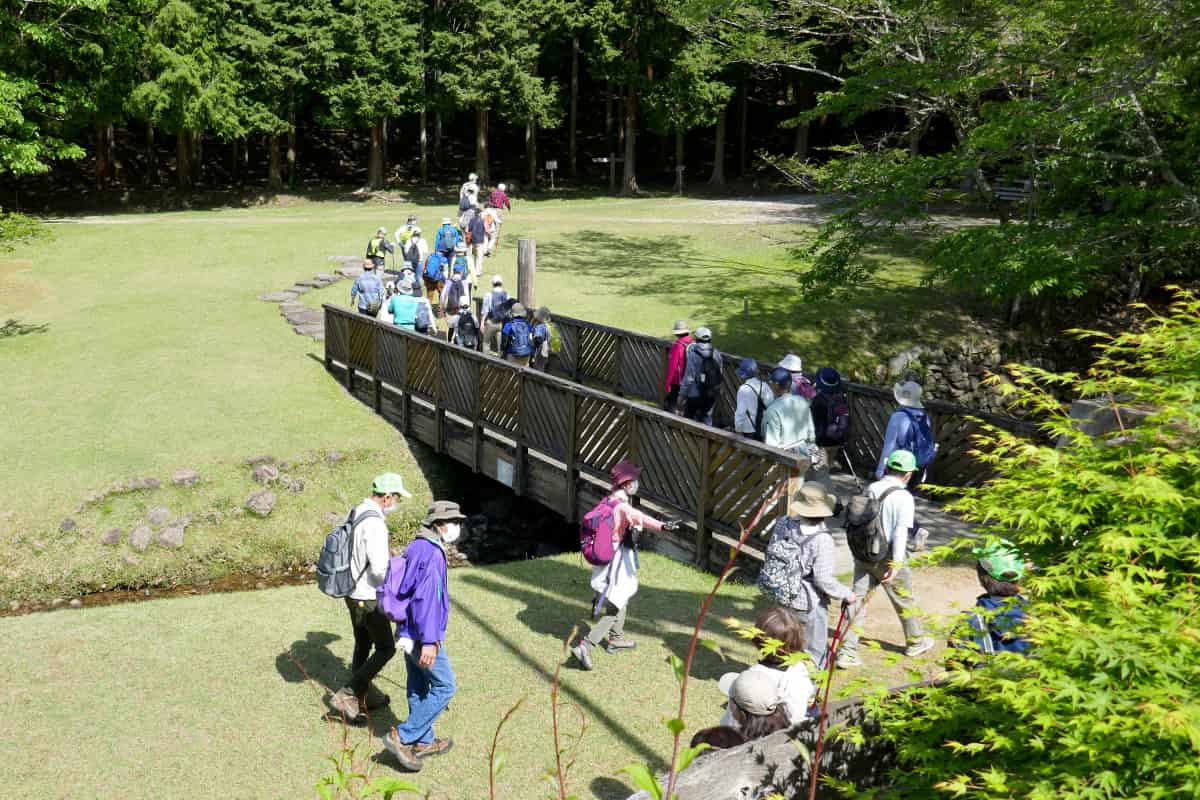 兵庫県立ゆめさきの森公園で「新緑まつり」開催　姫路市 [画像]