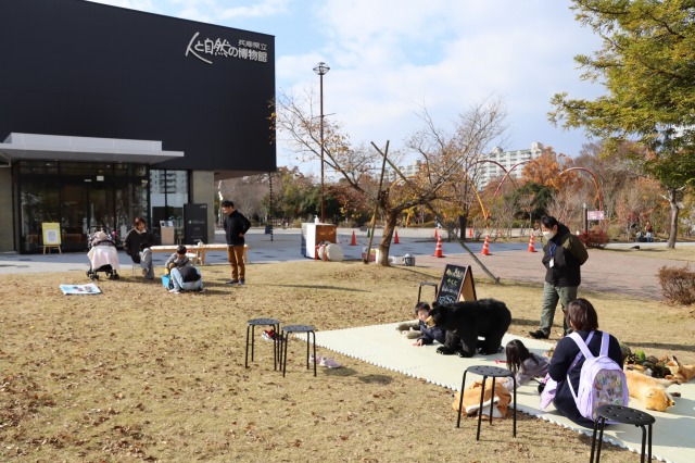 兵庫県立人と自然の博物館で「ゴールデンウィークイベント」開催　三田市 [画像]