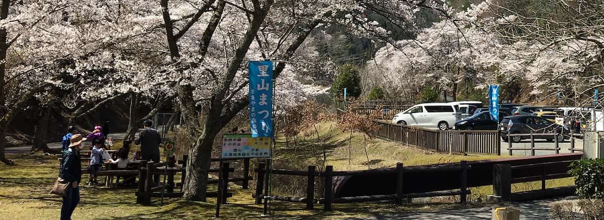 兵庫県立ささやまの森公園で「春の里山まつり」開催　丹波篠山市 [画像]