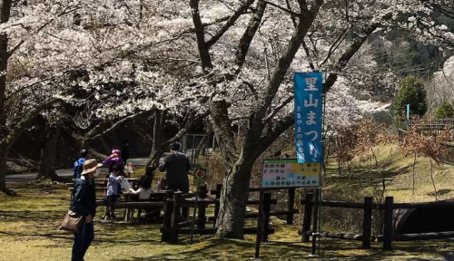 兵庫県立ささやまの森公園で「春の里山まつり」開催　丹波篠山市