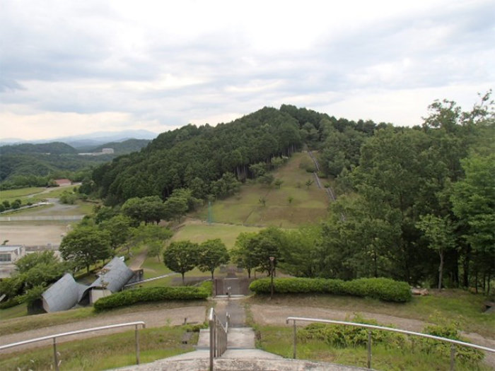 「虫とり夏の陣in栗ノ木谷公園」開催　たつの市 [画像]