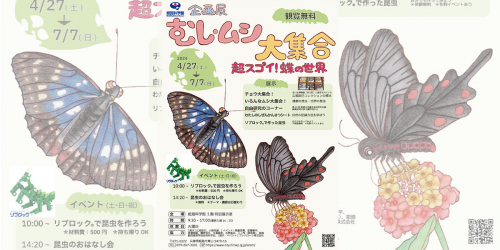 姫路科学館「むし・ムシ大集合 -超スゴイ！蝶の世界-」 姫路市
