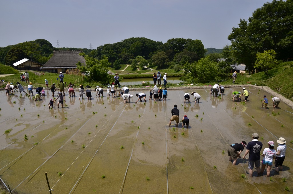 あいな里山公園で「あいな里山フェスタ春フェスタ2024」開催　神戸市 [画像]